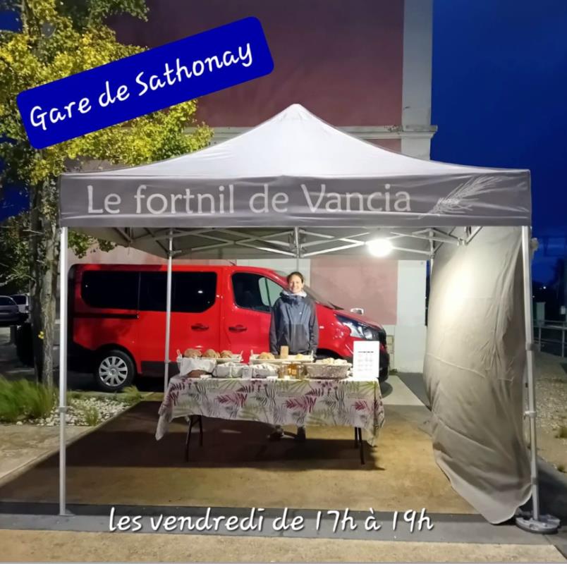 Gare de Sathonay - Rillieux